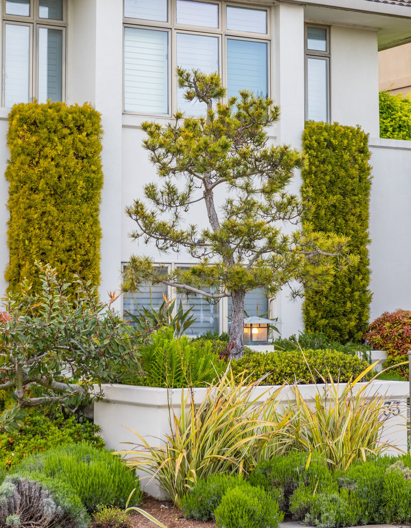 Landscaped front garden of a modern home